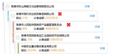 常德市東山秀峰文化發(fā)展有限責(zé)任公司 以文化為根基，打造常德軟件開(kāi)發(fā)新標(biāo)桿